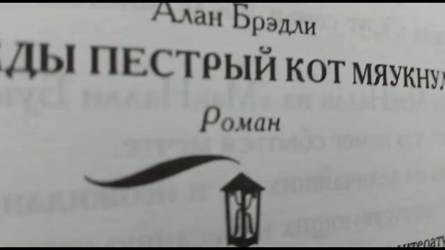 My evening✨.|Мой вечер|Мой вечер на выходных|Мой вечер 2022| #myevening#мойвечер#мойвечернавыходных