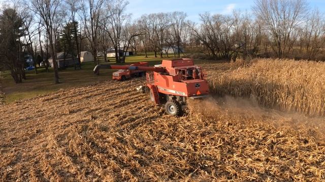 The Red Beast Is Captured Again - Killing Fields - 1998 Massey Ferguson 8780 - Washtenaw - Harvest2 смотреть онлайн