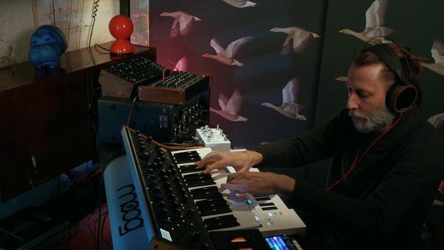 Non disturbare l'ippopotamo. ] Subsequent 37 & RE-201, DFAM & Echosystem, Tanzabar & Zoia [