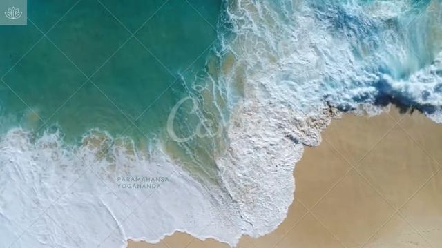 Homer`s Iliad смотреть онлайн