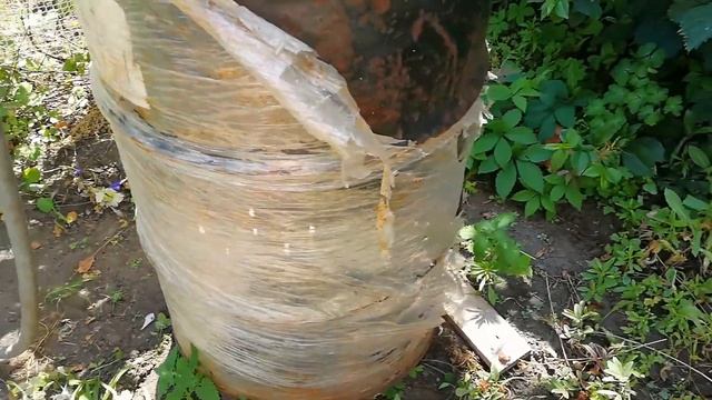 ДЫРЯВАЯ БОЧКА ДЛЯ ПОЛИВА/ВТОРАЯ ЖИЗНЬ смотреть онлайн