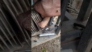 Не заводится китайский двигатель?