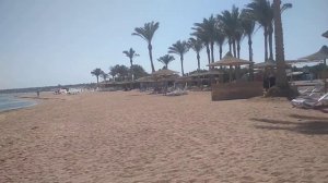 Aurora Oriental Resort Sharm El Sheikh 5*. Немного о кучности людей на пляже и Октябрь