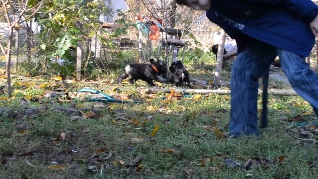 Южная Ночь и Юпитер С Бухты Апполона 2,5 мес смотреть онлайн