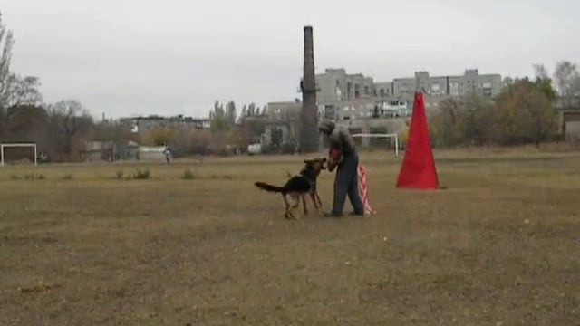 Горловка .Амур . тренинг 07,11,20 смотреть онлайн