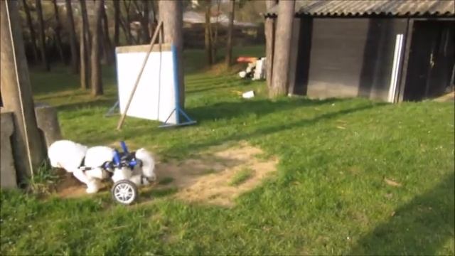 Richard 11 4 2015 Pluton смотреть онлайн