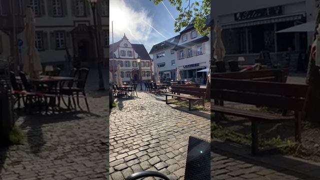 Идем на прогулку. #германия #трансляции смотреть онлайн