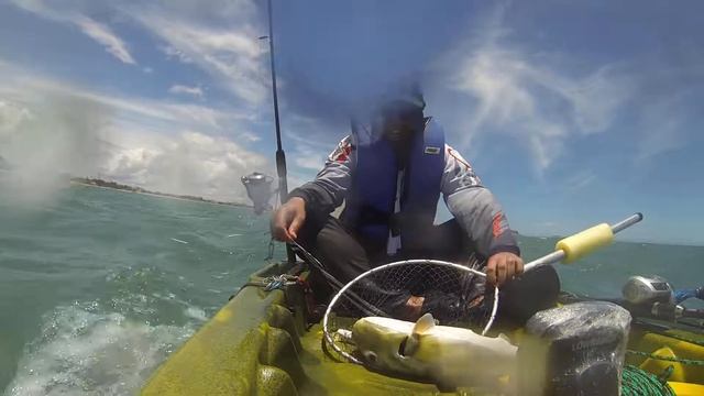 Baiacu no corrico, caiaque safári com motor Mercury 3.3 em Rio das Ostras смотреть онлайн