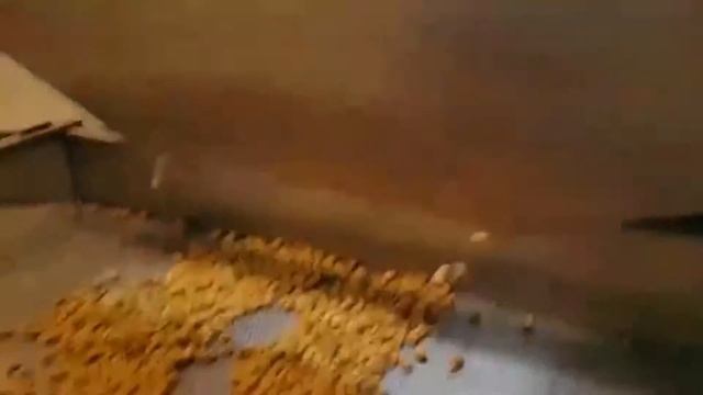 OS - 198 Belt Type Roasting Machine