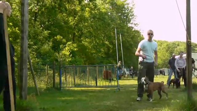 Afbeelding 2803 смотреть онлайн