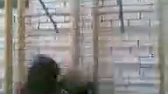 Мешок с говном смотреть онлайн