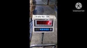 CAS DB II Platform Scale calibration