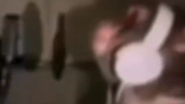 обезьянка вещает смотреть онлайн