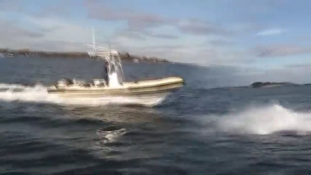 RIBCRAFT 6.8 смотреть онлайн