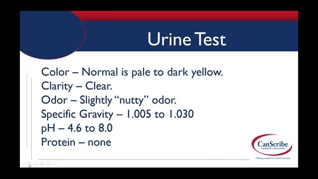 Lab Values and Normal Ranges - October 28, 2015 смотреть онлайн