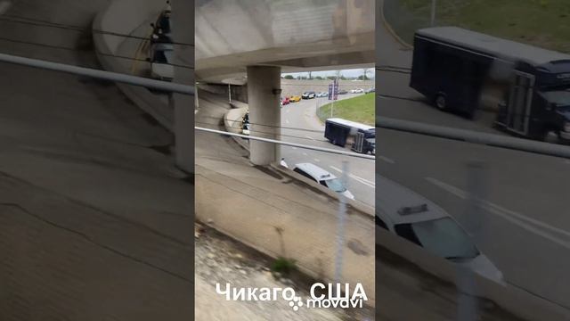 Лягушка- путешественница! Алматы - Стамбул-Чикаго-Кливленд. 30 часов дороги! смотреть онлайн