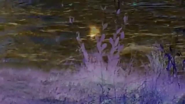 Оршуляк Андрей. Ожог. смотреть онлайн