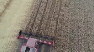 Жнива 2019 case 8010 9м.