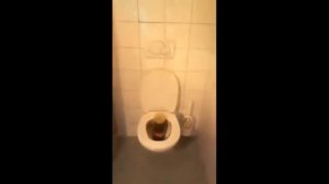 Школьный туалет на перемене