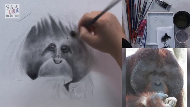 SAA LIVE - Orangutan using Oil Dry Brush with Anita Pounder смотреть онлайн