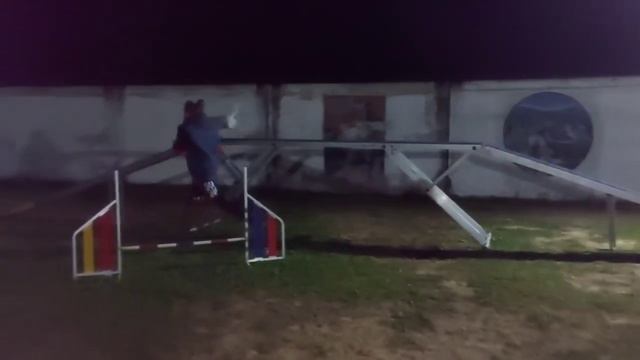 Марс. Аджилити 16.09.2023 смотреть онлайн