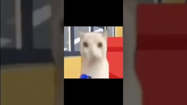 кот кушает чипсы в автобусе 1 час смотреть онлайн