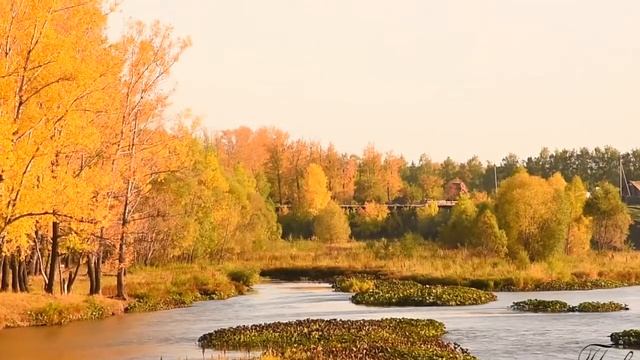 Час Икс и Золотой фонд "Сатурна" (повтор) 23 сентября 2020 смотреть онлайн