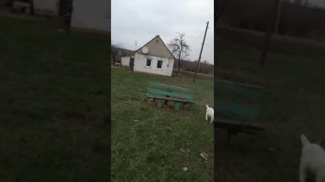 моя земля.... смотреть онлайн