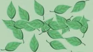 Photosynthesis song by Peter Weatherall