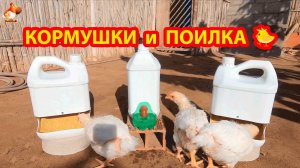 Кормушки и поилка бройлерам и цыплятам 🐥🐤🐥