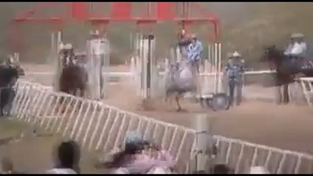 EL COMETA VS EL CHACALOSO EN 380 YRDS 5/14/2011 смотреть онлайн