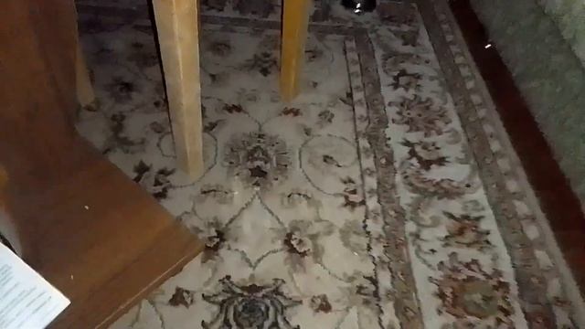 Кот Марс. 2 раунд боёв без правил. Ворчалки. смотреть онлайн