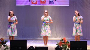 Трио Подружки  Ночка луговая