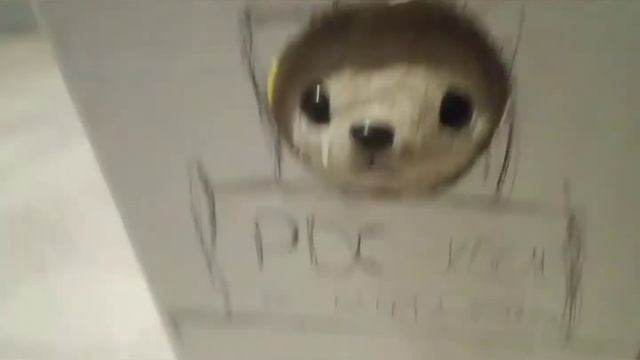 Юрий Моржарен Летит В Космос!!!!  Шок😱 смотреть онлайн