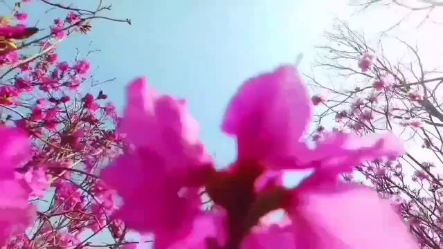 СРОЧНО! СКОРУЮ И САНИТАРОВ ОЛЮНЕ! ОЛЮНЯ И КОТЮНЯ. ОБЗОР.