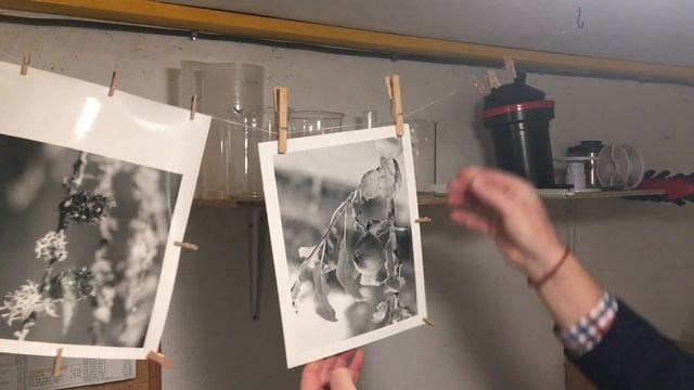 Friday Tips - Drying FB Prints Flat the Easy Way! смотреть онлайн