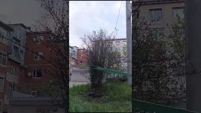 отправили Саню в космос , сломал руку смотреть онлайн