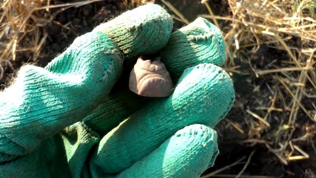 ВСЕ-ТАКИ НАШЛИ ИХ ТАМ! смотреть онлайн