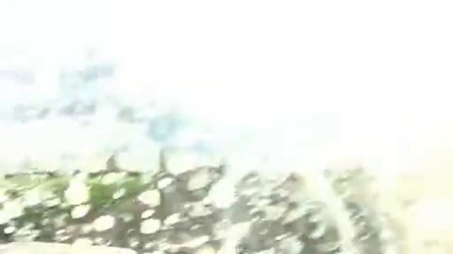 patrol смотреть онлайн