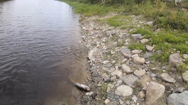 Ручей Счастья.Тайга13 смотреть онлайн