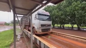 БРАЗИЛЬСКИЙ ДАЛЬНОБОЙ ДОРОГИ ДО КРАЙНОСТИ