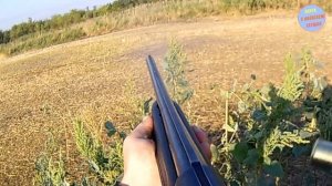 (18+) ОХОТА НА ГОРЛИЦУ ИЗ СКРАДКА