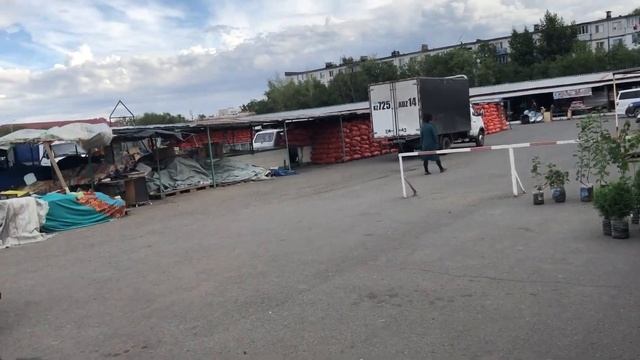 Обзор осеннего базара. Выпуск №318 смотреть онлайн