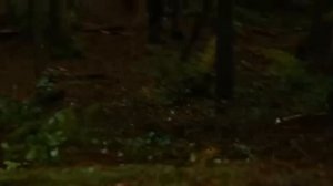 Video Clip - Thom Yorke - Hearing Damage (The Twilight Saga New Moon, 2009)