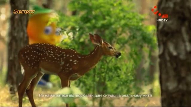 Реклама напиток Живчик (НЛО ТВ, май 2017) смотреть онлайн