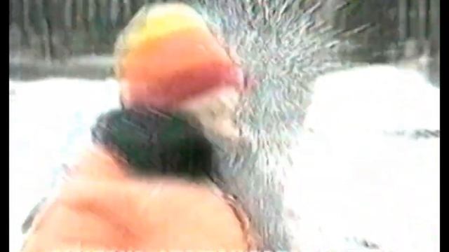 Реклама на ОРТ 2000 год смотреть онлайн