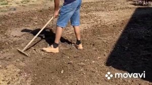Подготовка и укладка рулонного газона