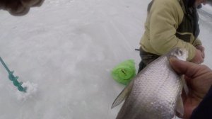 Весёлая рыбалка на Вятке.