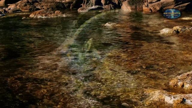 ОВЕН прогноз на июнь 2021 #астропрогноз #гороскоповен #астролог смотреть онлайн