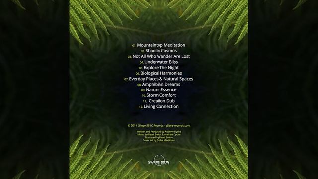 02 Bioscape - Shaolin Cosmos смотреть онлайн